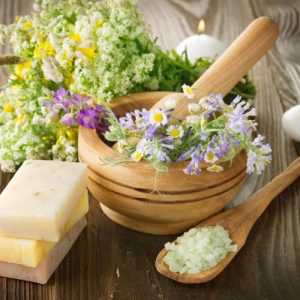 Prirodna kozmetika s biljem: tajne prirode za zdravlje i ljepotu