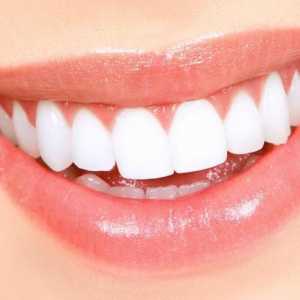 Ime zubi kod ljudi. Naslov zubi (shema). Imena mliječnih zubi