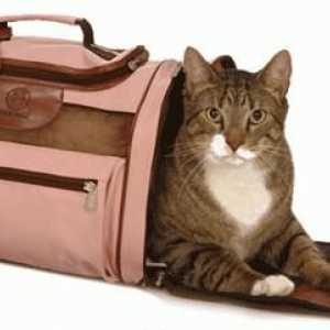 Potrebna domaćica pahuljasto preo atribut - prijevoznik za mačke