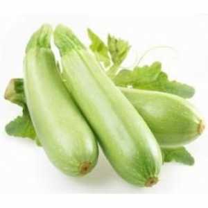 Osjetljivo salata „pržene tikvice s češnjakom i majoneze”