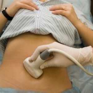 Norme veličine maternice ultrazvukom tijekom trudnoće i nakon poroda. Normalno veličina maternice i…