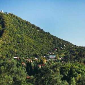 Novi Atos, Iver planina: opis, povijest i zanimljivosti
