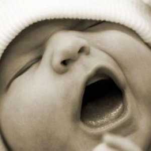 Moždani ndg novorođenčadi: dekodiranje, norme