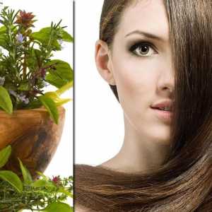 Ispiranje kose s biljem: tajne prekrasne frizure