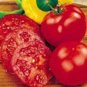 Izvorni recept: rajčica u želatinu
