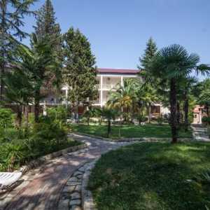 Hoteli u Abhaziji. Abhazija: Hoteli "all inclusive". Najbolji hoteli u Abhaziji