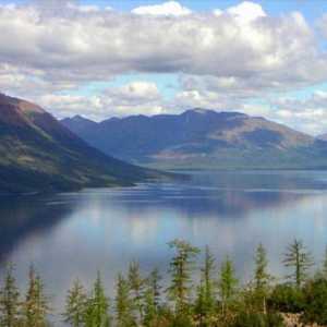 Jezero lama: Opis i karakteristike