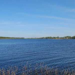Jezero Orlinskoye: rezervoar opis. Životvornim i faunu jezera Orlinski