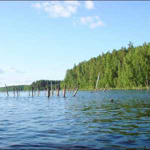 Jezero Pskov: fotografije, rekreaciju i ribolov. Komentari na odmoru u jezeru Pskov