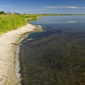 Jezero je slano, Kurgan regija. Jezero Kurgan regija