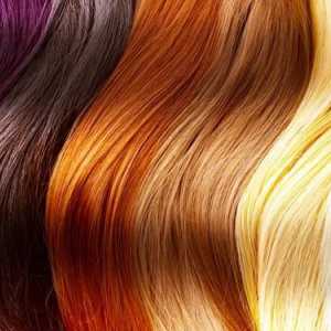 Paleta boja od boje za kosu: ima izbor tonova