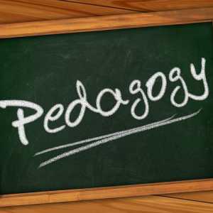Pedagogija - što je to? Koncept „pedagogije”. Stručni Pedagogija