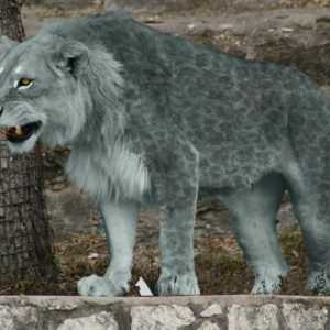 Spiljski lav - drevni predator
