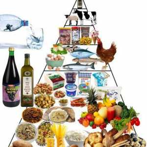 Piramida hrane. Piramida prehrane. Zdrava prehrana: prehrana piramida