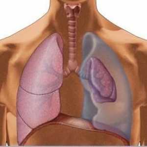 Pneumotoraks pluća: uzroci, simptomi i prva pomoć