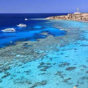 Poinciana Sharm Resort 4 * (Egipat / Sharm El Sheikh): fotografije, cijene i recenzije