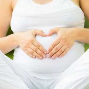 Korisne vježbe za trudnice (1 termin). Što možete učiniti gimnastiku za trudnice