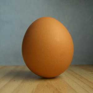 Koristi i štete od kokošjeg jaja. Najzanimljiviji
