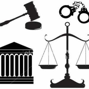 Pojam i elementi pravnog sustava - temelj sudske prakse organizacije društva