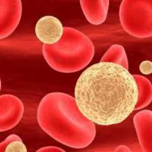 Povišeni krvni limfociti u djece: Što trebate znati