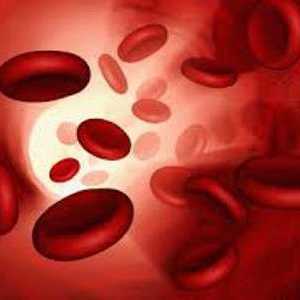 Povišen hemoglobin u krvi - što to znači? Pokazatelji hemoglobina dob