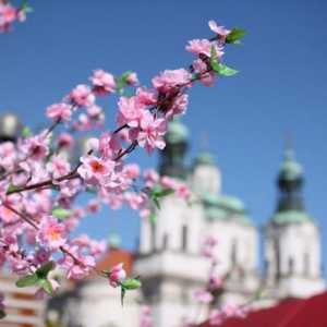 Prag u svibnju: vrijeme i mišljenja. Što vidjeti u Pragu u svibnju?