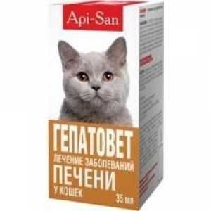 Na „gepatovet” droga za mačke: instrukcije i doziranje