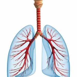 Uzroci i simptomi upale pluća u djece