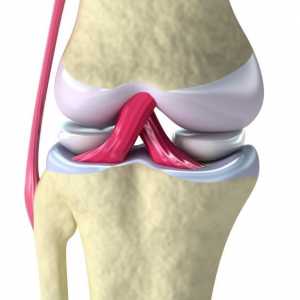 Uzroci i simptomi sinovitis zgloba koljena