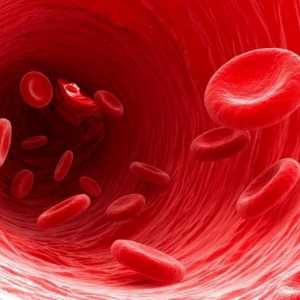 Simptomi i uzroci niskog hemoglobina u žena