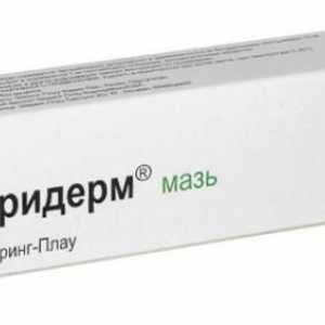 Antifungalna lijeka „triderm”: Upute za uporabu