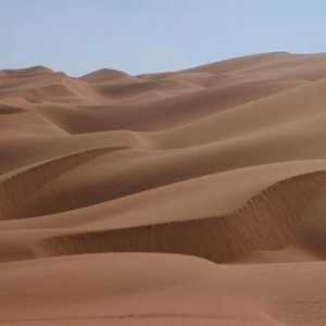 Pustinja i polu-pustinje: tlo, klima, biljni