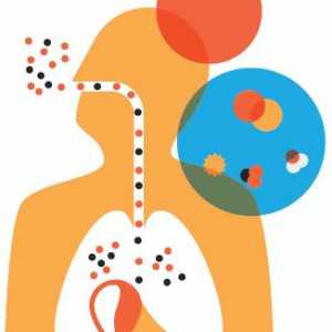 Uobičajene bolesti dišnog u djece i njihovih uzroka
