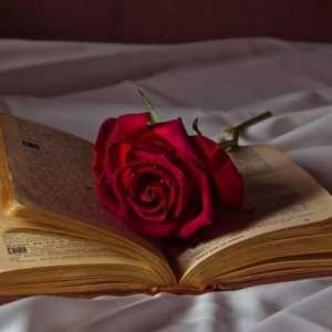 Romantizam kao književni pokret. Romantizam u književnosti 19. stoljeća
