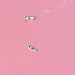 Pink jezero Retba