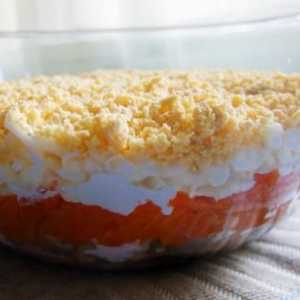 Salata „Mimoza” s konzervirane hrane - odabir sastojaka i pripreme