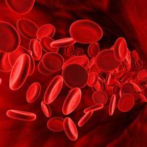 Najrjeđi krvne grupe - pojedinačne karakteristike