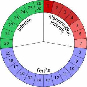 Najsigurniji dana trudnoće: kako izračunati? Kalendar se metoda kontracepcije: sef dana