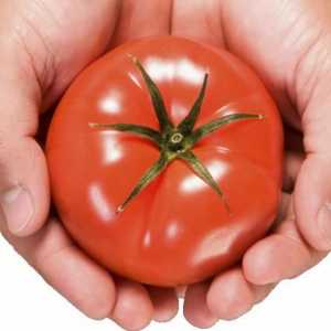 Sibirski uzgoj rajčice - značajke i prednosti. Najbolji sorti rajčice Sibirski rasplodnih