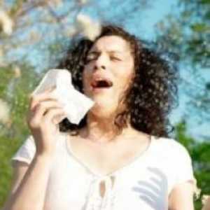 Simptomi alergija na topole paperje. Liječenje i prevencija