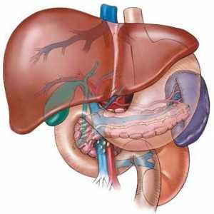 Sindrom portalne hipertenzije: uzroci, simptomi i tretmani
