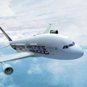 „Singapore Airlines”: službena stranica zrakoplovne tvrtke i mišljenja