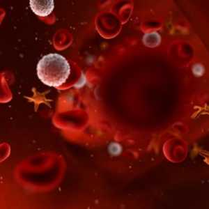 AB0 sustava i nasljeđivanje krvnih grupa kod ljudi