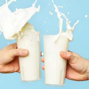 Koliko proteina u mlijeku (100 grama). Koliko proteina u mlijeku u prahu