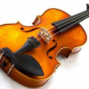 Koliko žice u violine i kako alat?