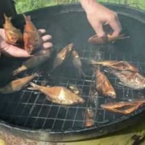 Savjeti o tome kako provoditi pušenja ribu u pušnica vruće putu