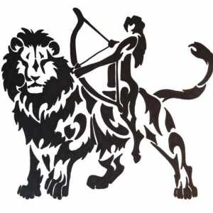 Kompatibilnost ženski lav i muški strijelac: što će biti sindikat?