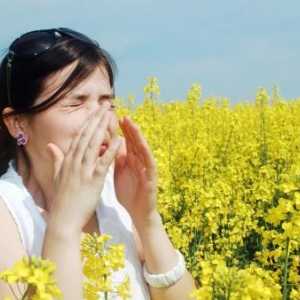 Lijek za alergije na ambroziju - postoji li?