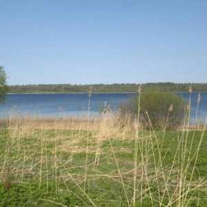Sukhodolskoye jezero. Rekreacijski ribolov