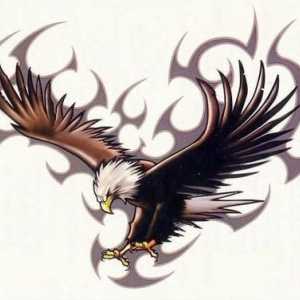 Tattoo „Orao” - simbol slobode i hrabrosti